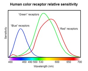 spectrum3.jpg