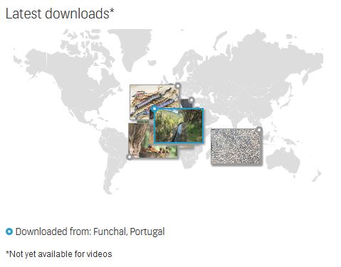 Funchal.JPG