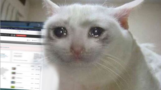 kitty-sutr.JPG