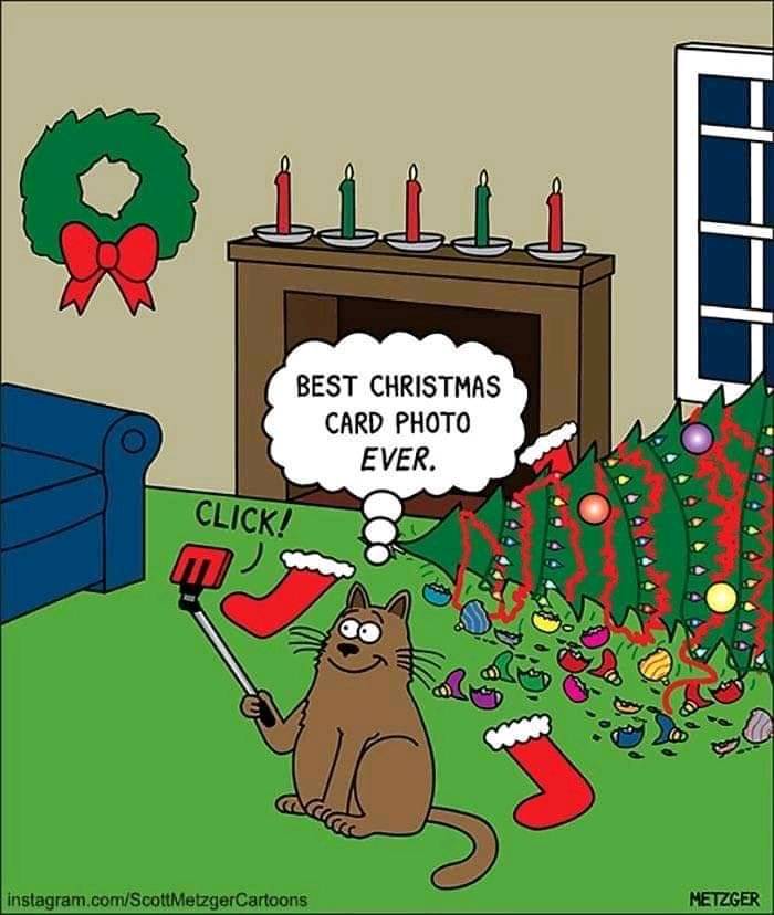 catxmas.jpg