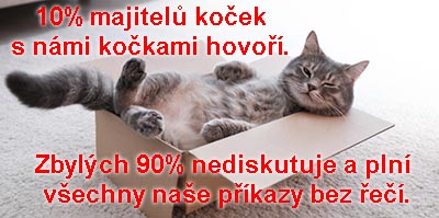 kocky.jpg