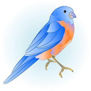 Bluebird small bird thrush watercolor vintage  vector - .jpg