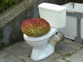 brain_on_wc.jpg