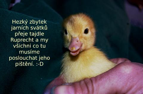 velikonoce.jpg velikonoce.jpg