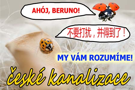 beruna.jpg