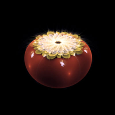 flowering-bauble-promo.jpg
