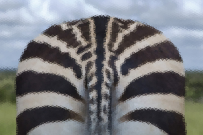 Mesh_170411-214438-58.jpg